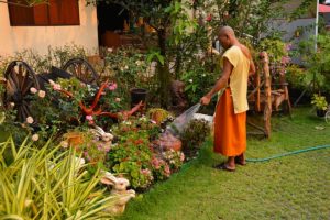 work-meditation-wild-life-tantra-aum