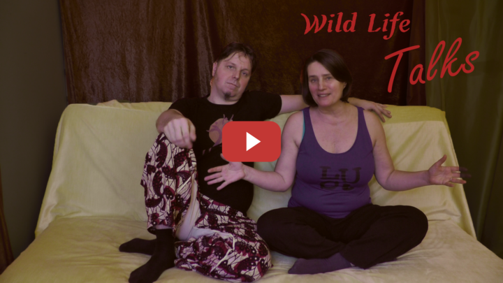 Mut zu Angst, Freude und Bewusstheit #2 Wild Life Talks