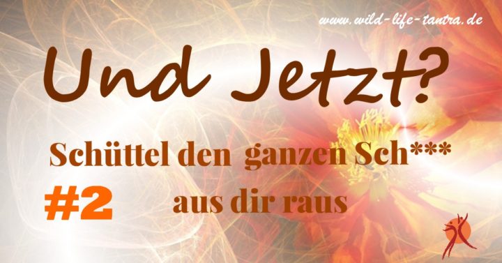Und Jetzt? #2 Schüttel den ganzen Sch*** aus dir raus