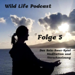 Meditation & Verschmelzung - Das Rein-Raus-Spiel