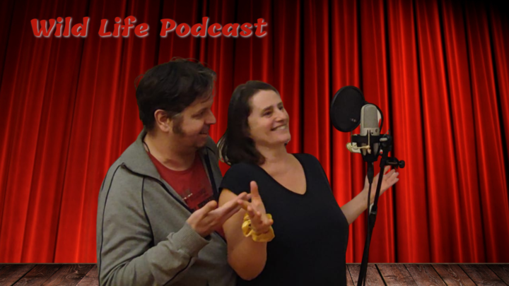 Folge 2 – Beziehungsrituale für Paare, im Spiegelgespräch die Liebe beleben