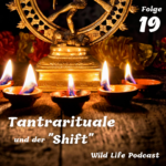 Wild Life Podcast