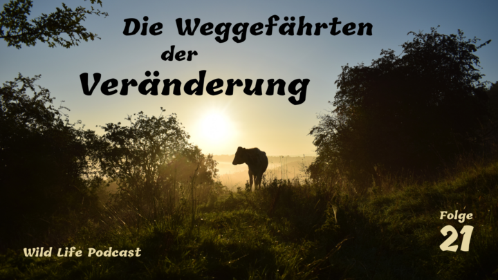 Folge 21 – Die Weggefährten der Veränderung