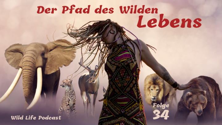 Folge 34 – Der Pfad des Wilden Lebens
