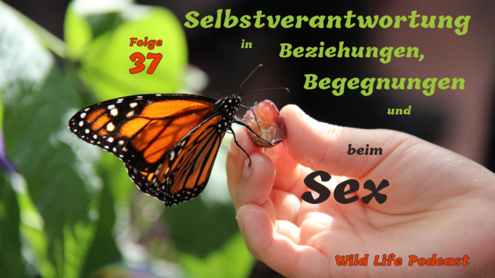 Folge 37 – Selbstverantwortung in Beziehungen, Begegnungen und beim Sex