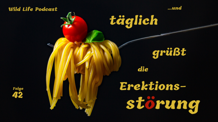 Folge 42 – Und täglich grüßt die Erektionsstörung
