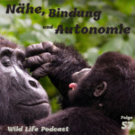 Wild Life Podcast