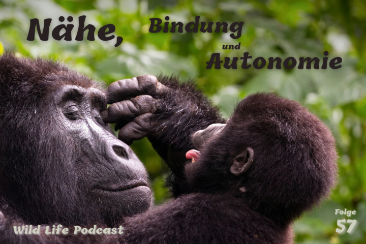 Folge 57 – Nähe, Bindung und Intimität