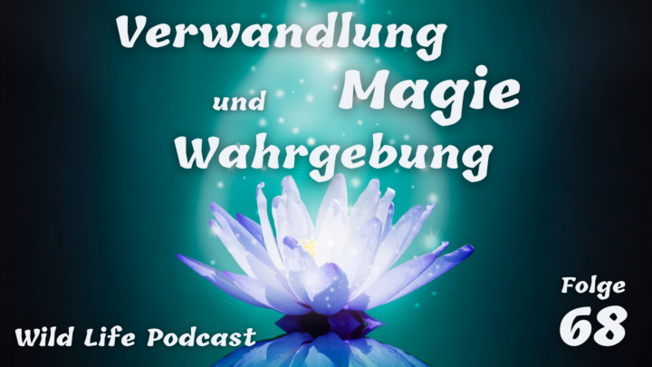 Folge 68 – Verwandlung, Magie & Wahrgebung