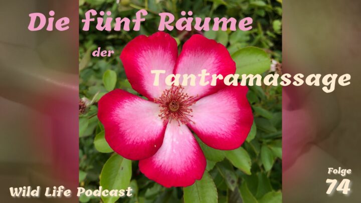 Folge 74 – Die fünf Räume der Tantramassage