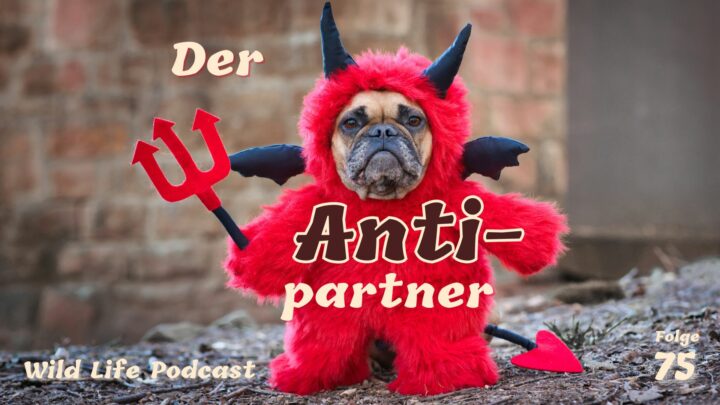 Folge 75 – Der Antipartner