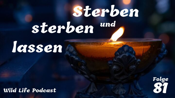 Folge 81 – Sterben und sterben lassen Folge 81 – Sterben und sterben lassen