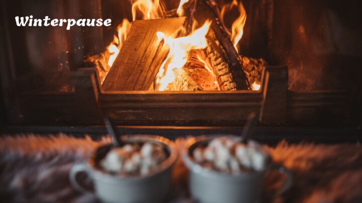 Winterpause bis 22.1.2025 – Wir antworten sporadisch