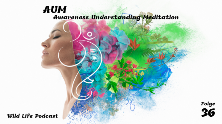 Folge 36 – AUM – Awareness Understanding Meditation