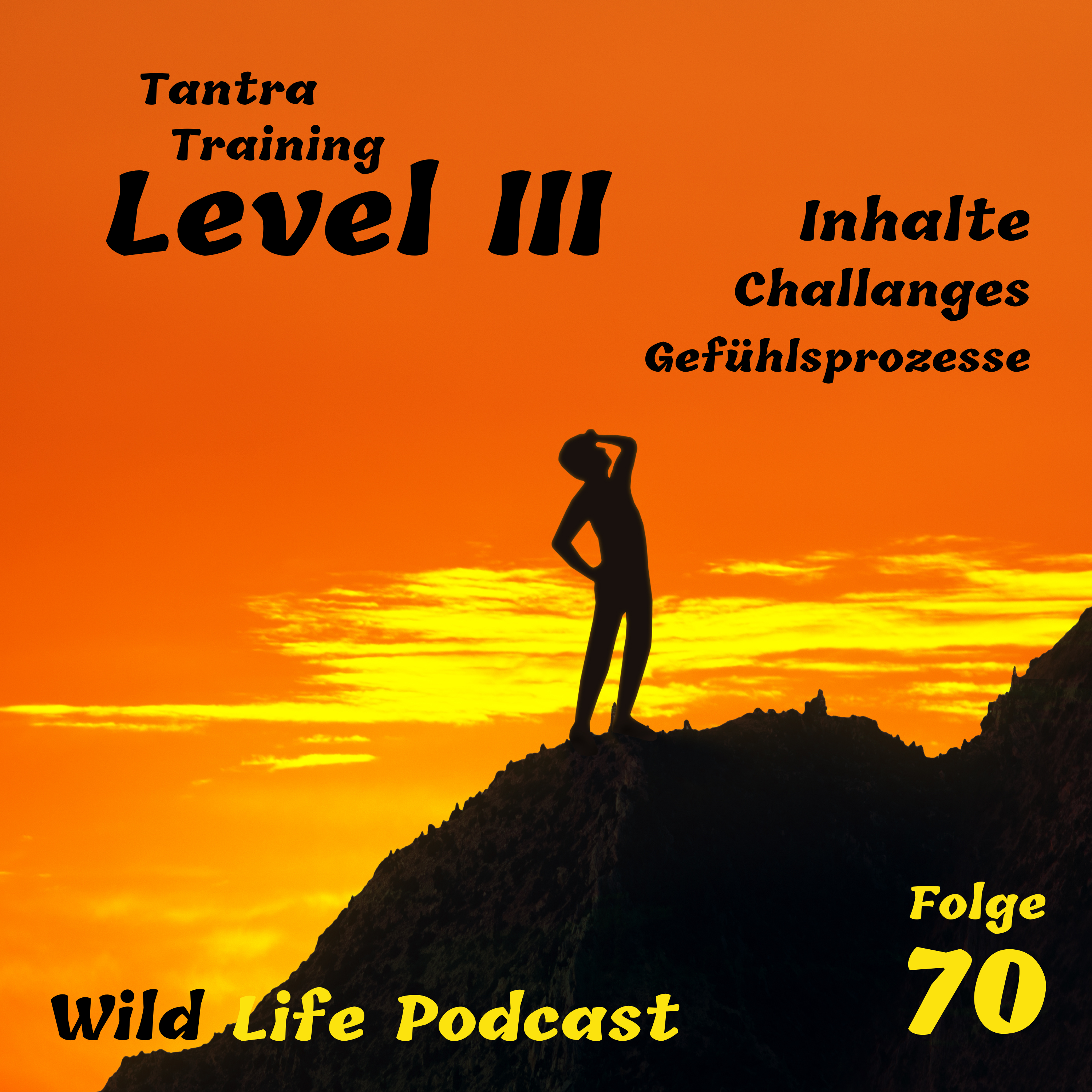 Folge 70 – Tantra Training Level III – Inhalte, Challanges & Gefühlsprozesse episode artwork