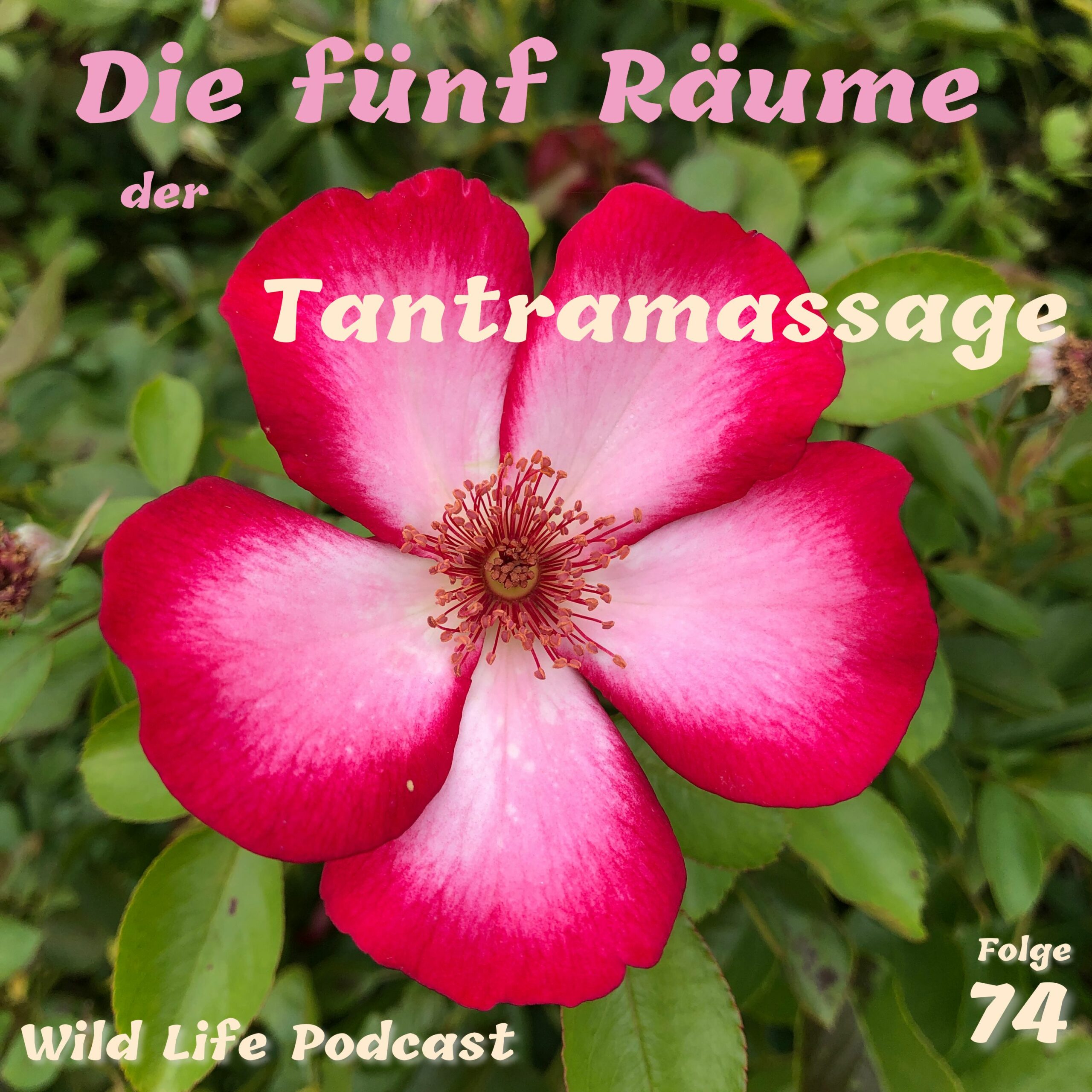 Folge 74 – Die fünf Räume der Tantramassage episode artwork