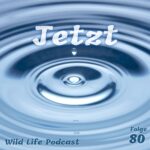 Wild Life Podcast