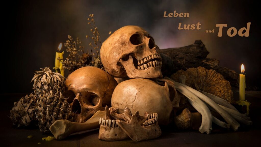 Leben, Lust & Tod - Wild Life Tantra Level II (Verlängertes Wochenende)