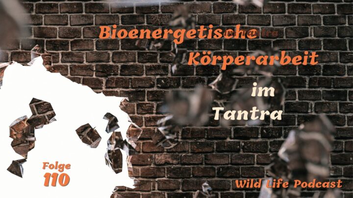 Folge 110 – Bioenergetische Körperarbeit im Tantra (Modelle #7) Folge 110 – Bioenergetische Körperarbeit im Tantra (Modelle #7)